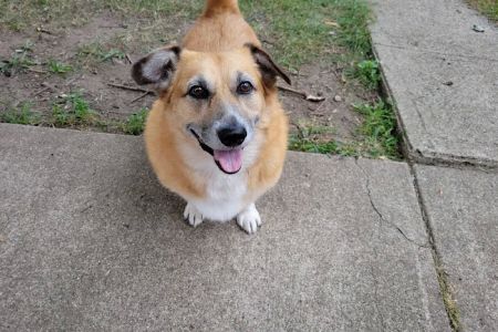 Family Pet Health Center