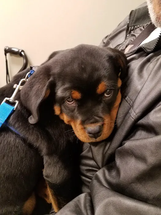 Family Pet Health Center 12