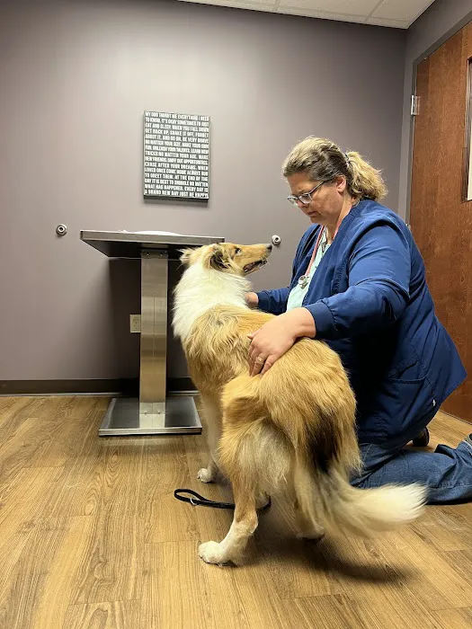 Family Pet Health Center 12
