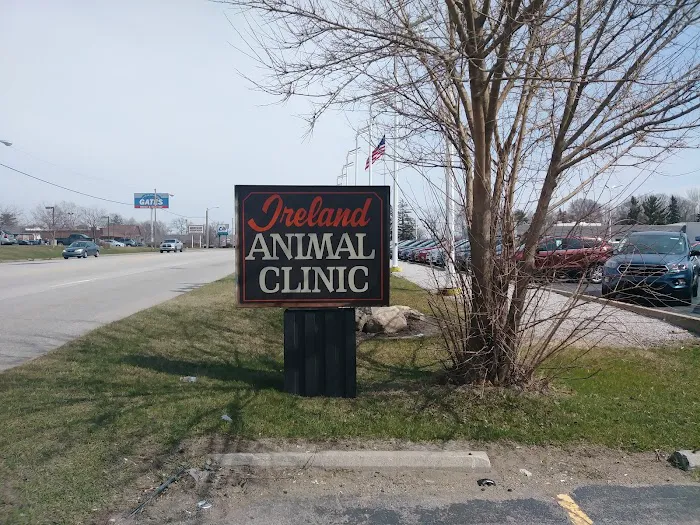 Ireland Animal Clinic LLC 12