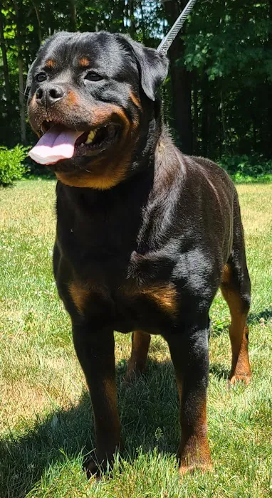 Ireland Animal Clinic LLC 12