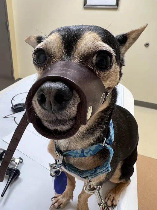 Roseland Animal Hospital 12