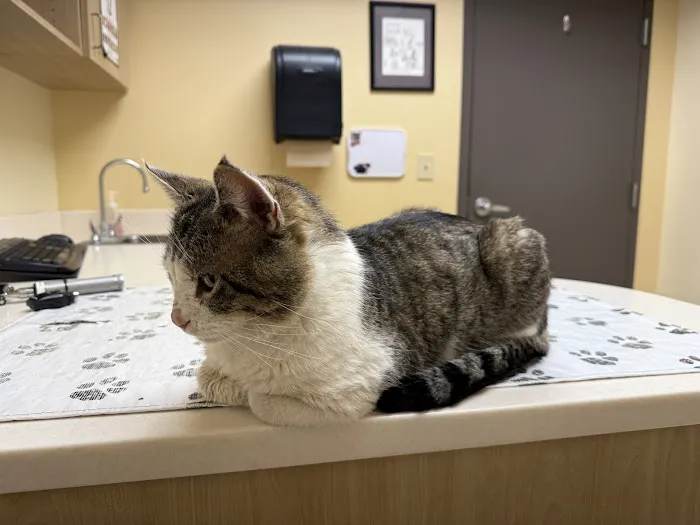 Roseland Animal Hospital 12