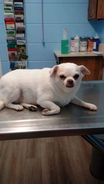 Clayview Animal Clinic 12