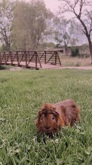 Michiana Veterinary Hospital 8