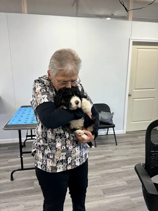 Michiana Veterinary Hospital 1