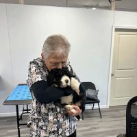 Michiana Veterinary Hospital ico