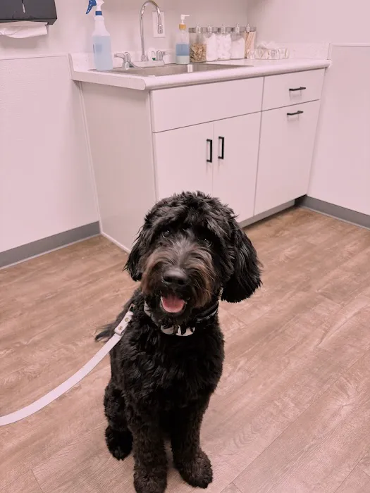 Michiana Veterinary Hospital 3