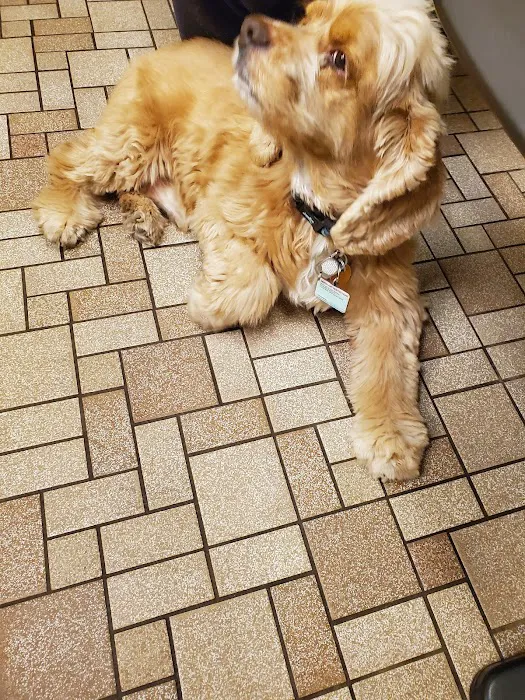 Animal Care Clinic North 1