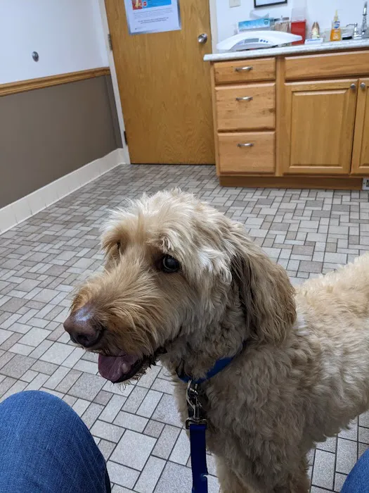 Animal Care Clinic North 6