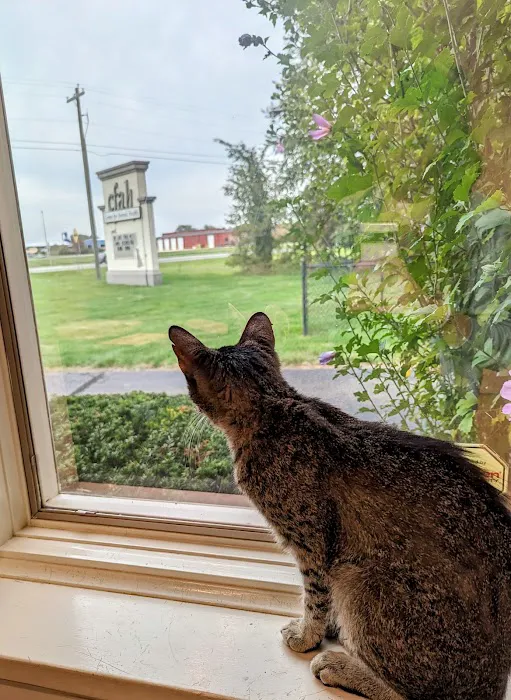 Center for Animal Health 2