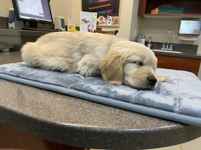 Center for Animal Health 3