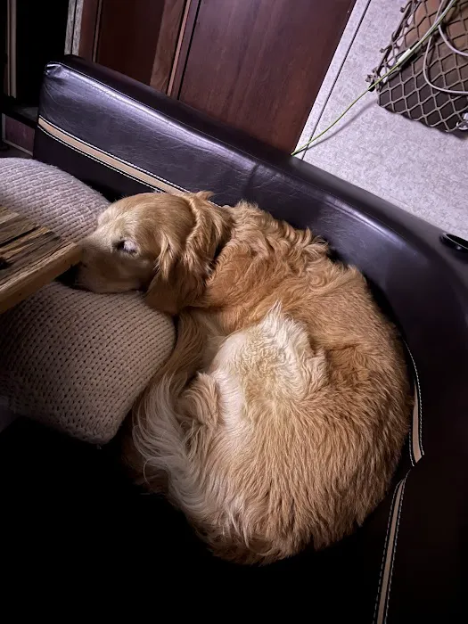Center for Animal Health 6