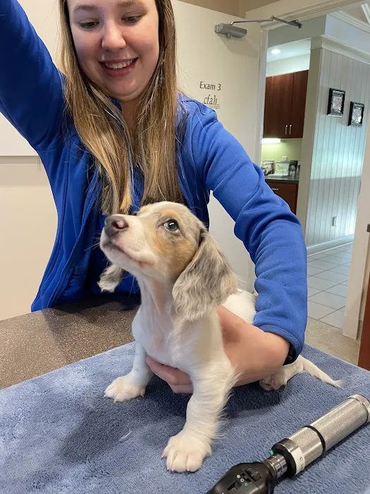 Center for Animal Health 7