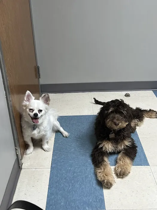 Animal Aid Clinic South 2