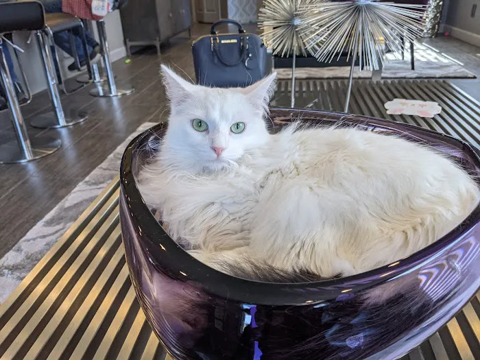 Animal Aid Clinic South 8