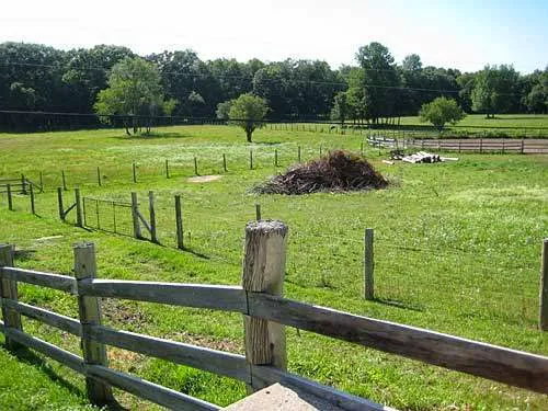 Thornwood Veterinary Clinic 2