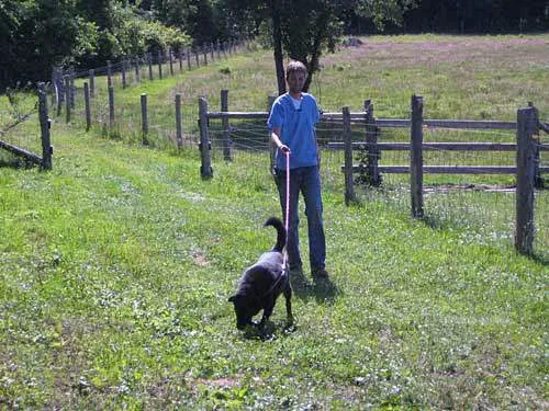 Thornwood Veterinary Clinic 3