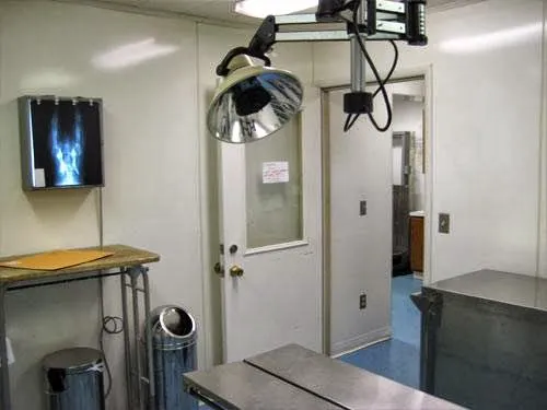 Thornwood Veterinary Clinic 6