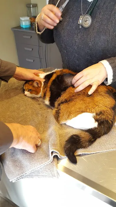 Bridges Animal Hospital at Ada Village 12