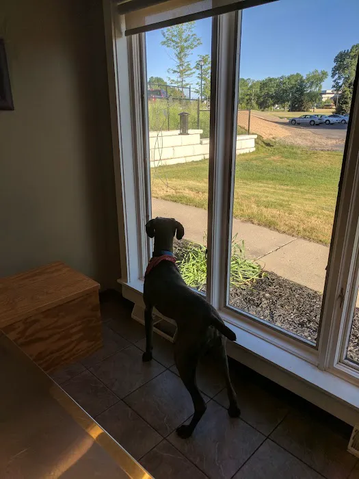 Bridges Animal Hospital at Ada Village 12