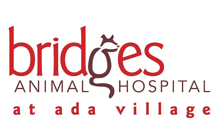 Bridges Animal Hospital at Ada Village 12