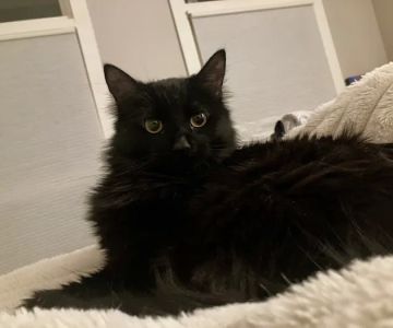 Quick Fix Veterinary
