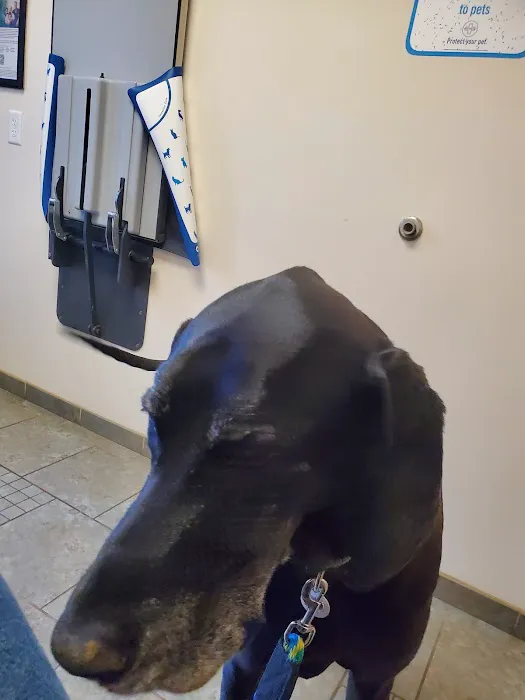 VCA Woodland Animal Hospital 2