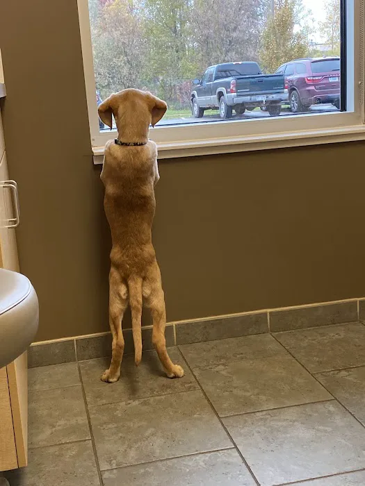 VCA Woodland Animal Hospital 4