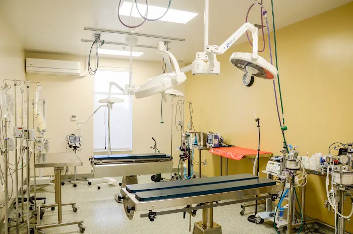 VCA Woodland Animal Hospital 5