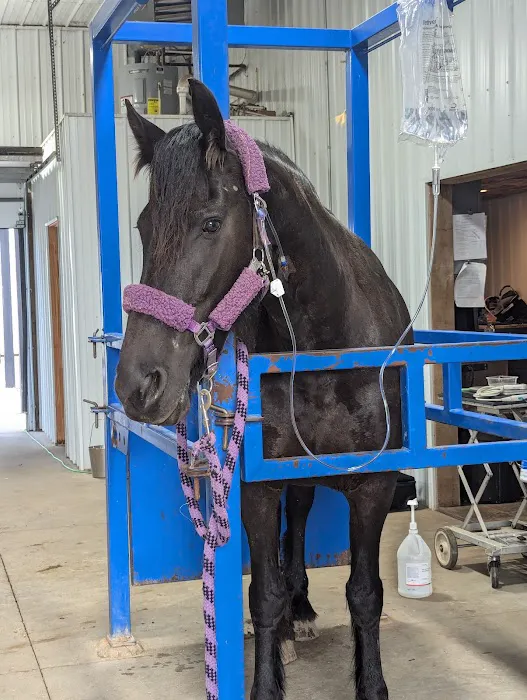 Classic Equine, LLC 1