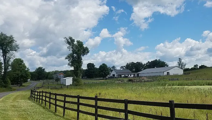Classic Equine, LLC 3