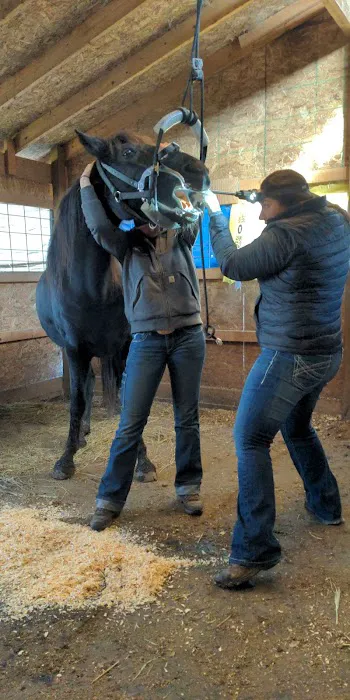 Classic Equine, LLC 4