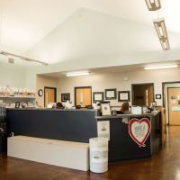 Ada Hospital for Animals ico