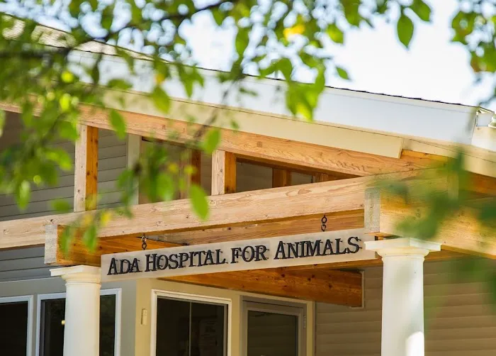 Ada Hospital for Animals 6