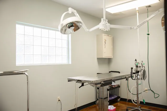 Ada Hospital for Animals 10