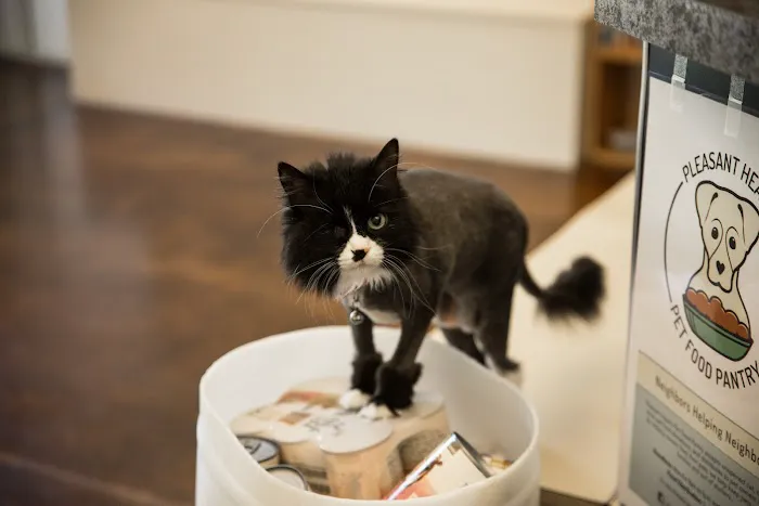 Ada Hospital for Animals 9