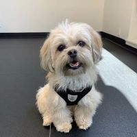 Grand River Veterinary Hospital PC ico