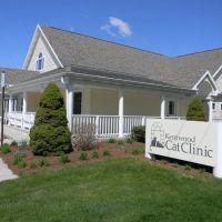 Kentwood Cat Clinic ico