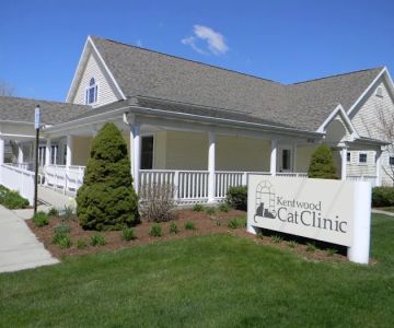 Kentwood Cat Clinic