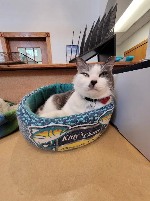 Kentwood Cat Clinic 12