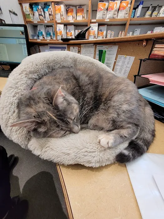 Kentwood Cat Clinic 12