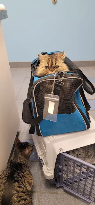 Kentwood Cat Clinic 12