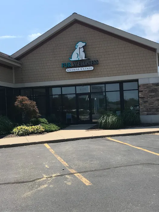 Fur Wellness Animal Clinic 12