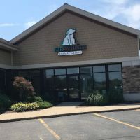 Fur Wellness Animal Clinic ico