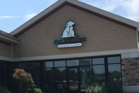 Fur Wellness Animal Clinic