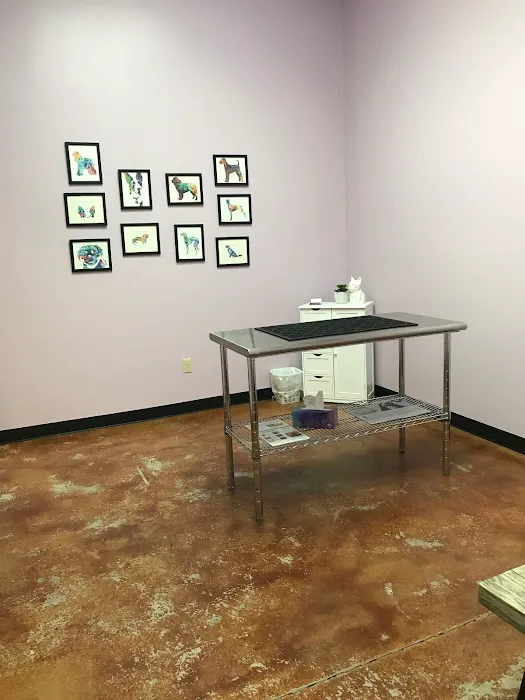 Fur Wellness Animal Clinic 12