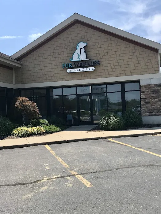 Fur Wellness Animal Clinic 12