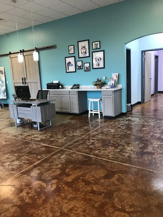 Fur Wellness Animal Clinic 12