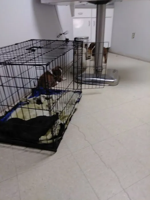Holton Road Veterinary Clinic 8